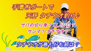 【手漕ぎボート釣り】タチウオが最も好む餌は？サバの切り身？コノシロ？サンマ？タチウオ？