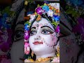 radhastami special mayapur radha madhav darshan 2023 mayapur iskcon radhastami todaydarshan