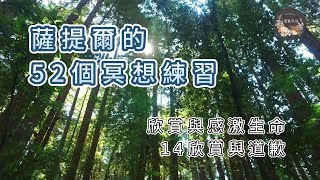 薩提爾的52個冥想練習｜14欣賞與道歉｜欣賞與感激生命