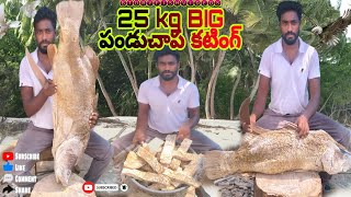 25 కేజీ పండు చేప కటింగ్ | BT dryfish videos | cutting videos | viral dryfish cutting | panduchapalu👍