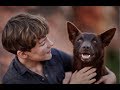 Red Dog: The Early Years | Official Trailer | OUT NOW On DVD and digital platforms