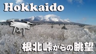 DRONE×HOKKAIDO 4K 根北峠の白樺群生林