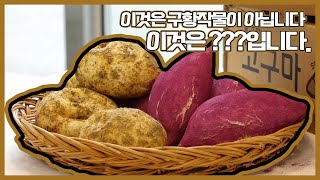 진짜보다 더 진짜 같은 미니어처 취미생활~ | 생생투데이 사람과 세상, 2020.05.26.(화)