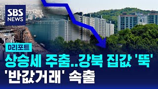 서울 집값 하락률 1위 도봉구…최고가 대비 '반값거래'도 / SBS / #D리포트