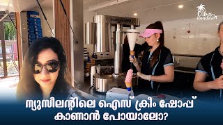 ന്യൂസിലാൻഡിലെ ഐസ്ക്രീം പാർലർ കൊള്ളാല്ലോ | New Zealand Malayalam Vlog | EP 08