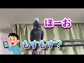 【爆笑】るいちゃんと実際に電話するとこんな感じ！！ヨウムのるいちゃん