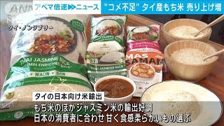 “コメ品薄”日本でタイ産もち米の売り上げ増　現地輸出会社は期待(2024年8月29日)