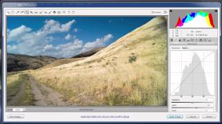 Camera Raw: Using the Targeted Adjustment Brush and the Adjustment Brush