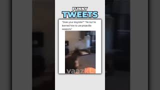 These Tweets Are Funny