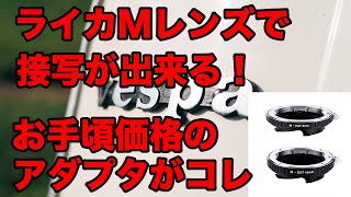 Leica Mレンズで接写を楽しむ！おすすめお手頃価格の接写アダプタはコレ！[motovlog][leica]