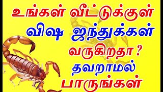 வீட்டுக்குள் விஷ  ஜந்துக்கள் வருகிறதா ? |  clean home will attract positive energy | Aanmeegam