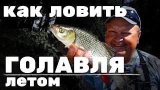 КАК ЛОВИТЬ ГОЛАВЛЯ летом на воблеры и блесны|Тест Crazy Fish Levin 6'2 LT|Рыбалка на реке