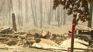 Families in Butte County Search for the Missing in Wake of Devastating Wildfire