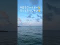 豊見城市 豊崎 ヤシの木ロード🌴【沖縄から お早う御座います】