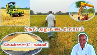 நெல் அறுவடை \u0026 லாபம் | வெள்ளை பொன்னி | Paddy harvesting \u0026 Profit details in tamil