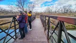 Largest Cottonwood Forest in the World through Albuquerque | Rio Grande Nature Center \u0026 Bosque Hike