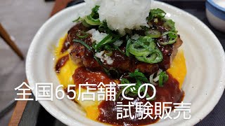 【松屋】全国65店舗での試験販売、デミオムハンバーグ丼が非常に不思議な商品だった