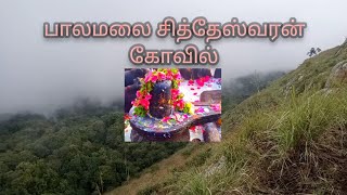 சித்தேஸ்வரன் மலை பயணம் | PALAMALAI SITHESHWARAR TEMPLE PROMO - UNGAL BHAVANI