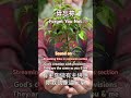 毋忘祢【粵語詩歌】forget you not always remember jesus sacrifice 敬拜詩歌 廣東話詩歌 粵語詩歌 敬拜讚美 基督救恩 6