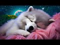 Sleep Music: Overcome Insomnia in 3 Minutes, Soothing Healing for Depression & Anxiety