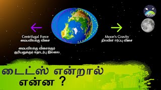 டைட்ஸ் என்றால் என்ன | What are tides and how are they caused in Tamil