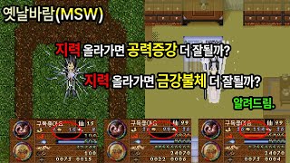 옛날바람(msw)주술사 도사분들 주목! 지력올리면 공력증강 더 잘되는지 알려드림.