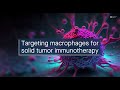 Targeting macrophages for solid tumor immunotherapy