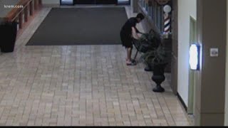 Downtown Spokane property crime spree totaled over $14,000 in damages, theft, police say