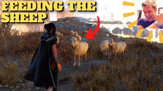 Forspoken -  Feeding the Sheep (Detour, find last hungry sheep)