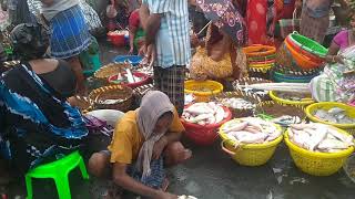 காசிமேடு மீன் மார்க்கெட் ஒரு கூடை  மீன் 100 மட்டுமே/KASIMEDU FISH MARKET/CHENNAI/INDIA/ PART 2