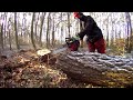 cutting an uprooted tree jonsered 2045