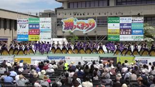 岡山うらじゃ連　蓮雫　2017踊っこまつり5/4（木）　本部会場