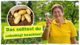 KARTOFFELN PFLANZEN: So gelingt der Anbau im Beet 🌱🥔