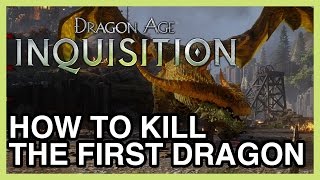 How to Kill The First Dragon of Dragon Age Inquisition - The Fereldan Frostback