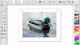 Working with Curves in VinylMaster