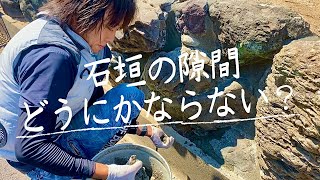 石垣の隙間は草が生えるし土が流れるので塞ぎますvol.3