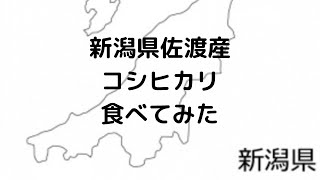 【実食】佐渡産コシヒカリ食べてみた！