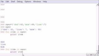 Python Programming Tutorial - 26 - Infinite Loops and Break
