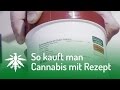 So kauft man Cannabis mit Rezept