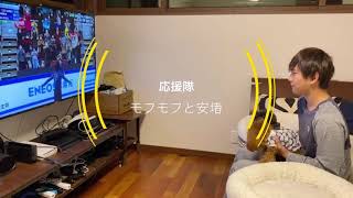 【モフモフテレビ応援】 音楽無しで無編成です。 テレビからトロ！Emmaって聞こえた‼️   #トイプードル生活#宇野昌磨＃宇野樹#Uno1ワンチャンネル＃アスリートと愛犬#フィギュアスケート