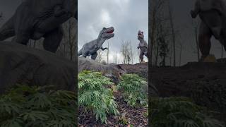 EXPO DINOSAURES 2025 PAIRI DAIZA (20 ESPÈCES) #dinosaur #pourtoi #raptor #zoo #trex #expo #belgium