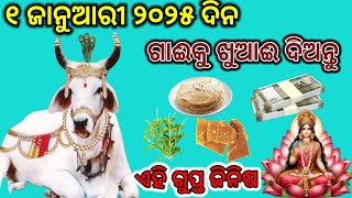 ନୂଆବର୍ଷ ର ପ୍ରଥମ ଦିନ ଗାଈ କୁ ଖୁଆଇ ଦିଅନ୍ତୁ ଏହି ଜିନିଷ/Happy New year 2025