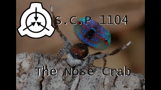 SCP 1104