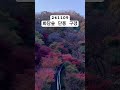 화담숲 단풍 구경 24.11.09 화담숲 단풍명소 가을 가을코디 가을단풍