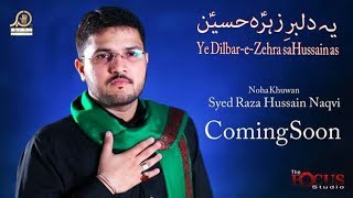 Promo Nohay 2017 - Syed Raza Hussain Naqvi - Muharram 2017-18