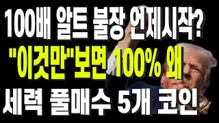 100배 알트 불장 언제시작? \