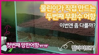 물린이가 만드는 무환수무여과어항 두번째어항!