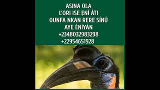 ASINA OLA TODAJU, +2348032983298, +22954651928, +2250506134943