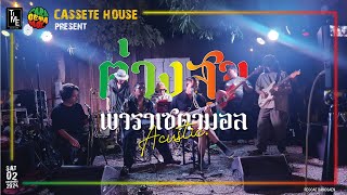 ต่างสุข - พาราเซตามอล Acoustic Livesession Cassette House 6