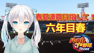 【栄冠ナイン】初の夏甲子園優勝を目指す！【雪月天花/新人Vtuber】